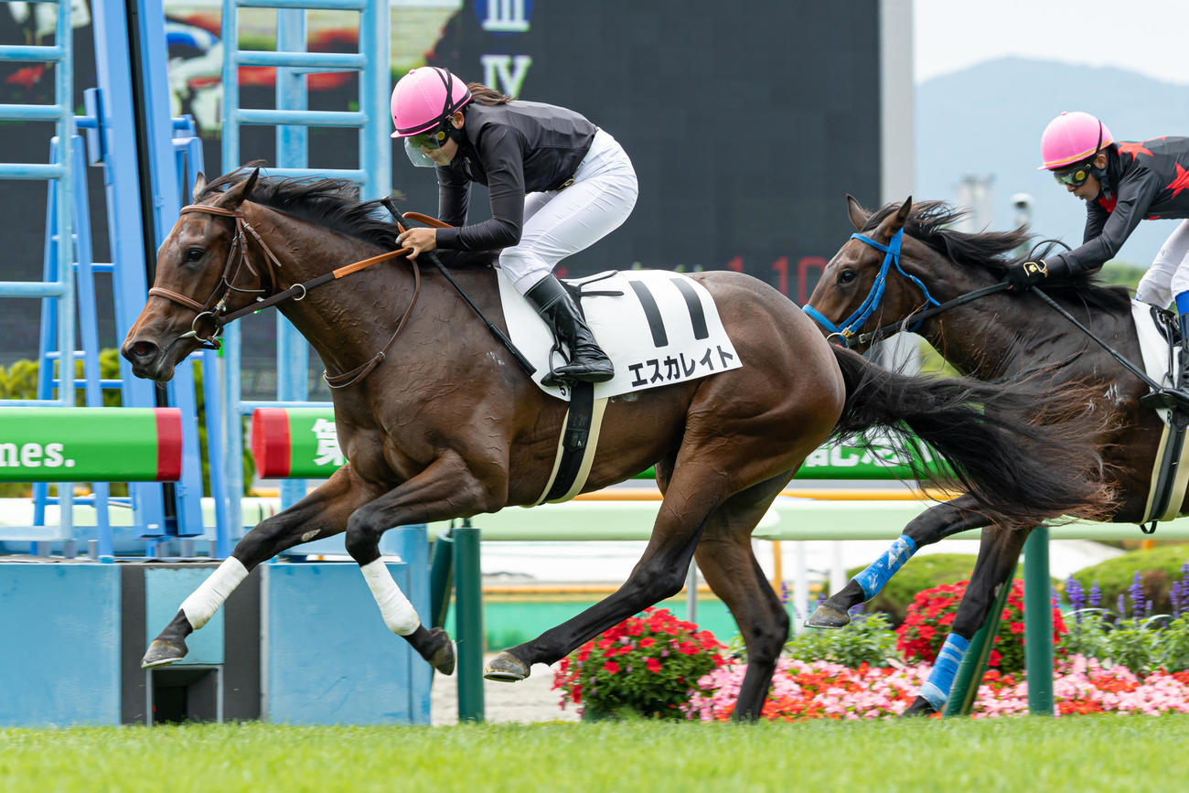 函館5R、デビュー戦を制したエスカレイトと小林美騎手（撮影・村野早祐）