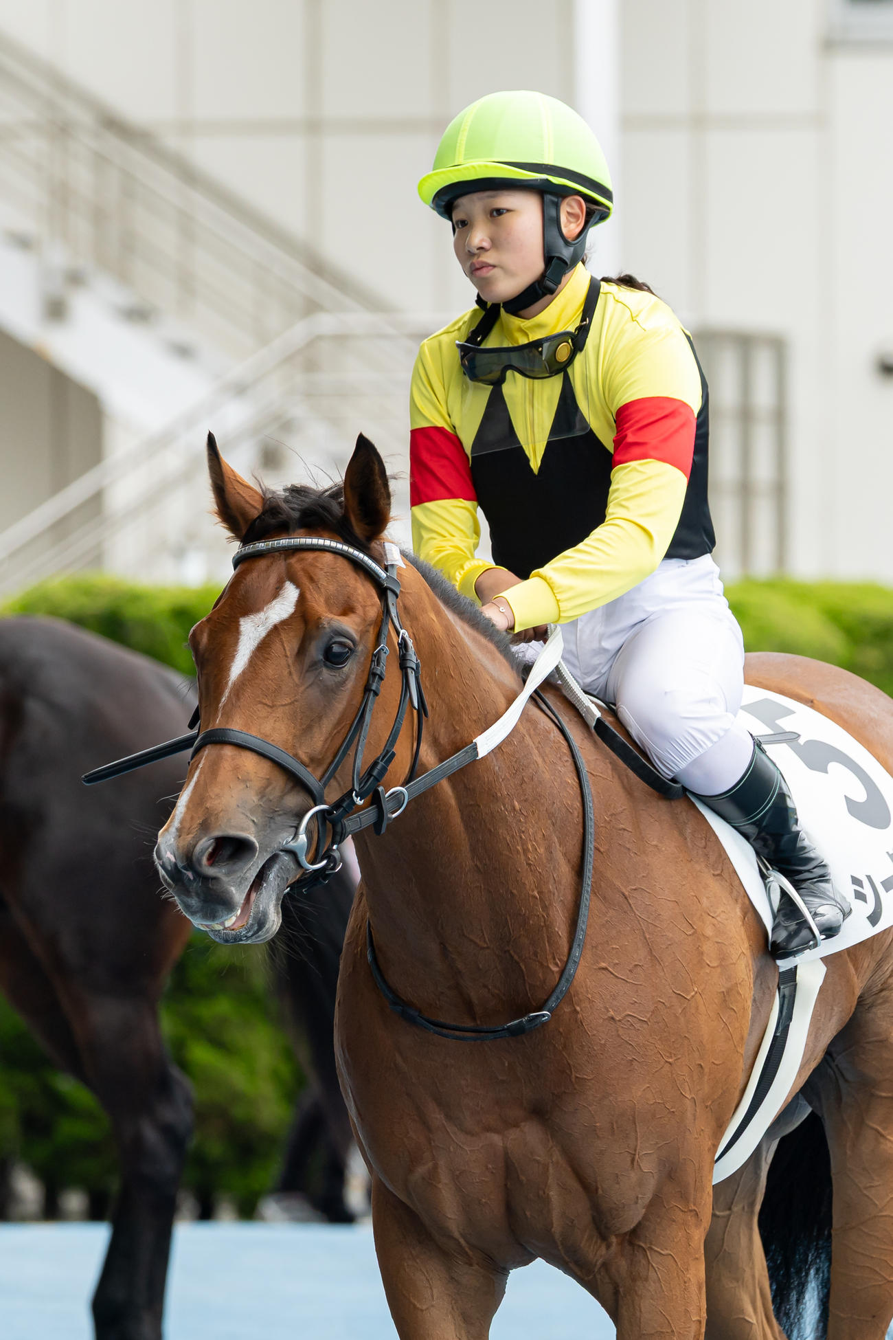 函館1R、2歳未勝利戦を制したシーグルロスと小林美騎手（撮影・村野早祐）