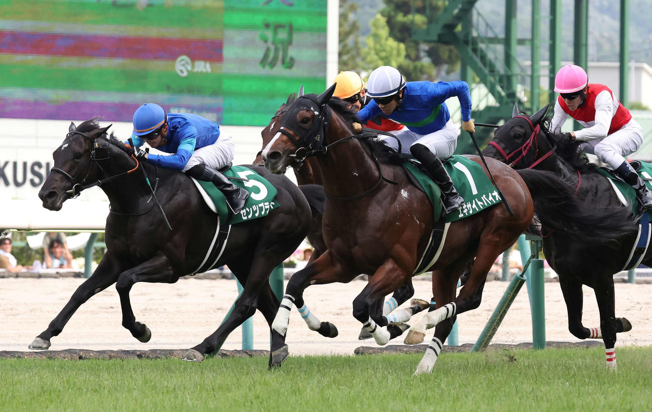 ラジオNIKKEI賞を制したエキサイトバイオと荻野極騎手（中央）。左は2着センツブラッド
