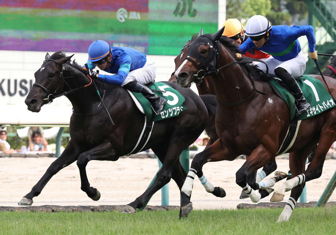 ラジオNIKKEI賞2着に敗れたセンツブラッド（左）。右は勝ったエキサイトバイオ（撮影・丹羽敏通）