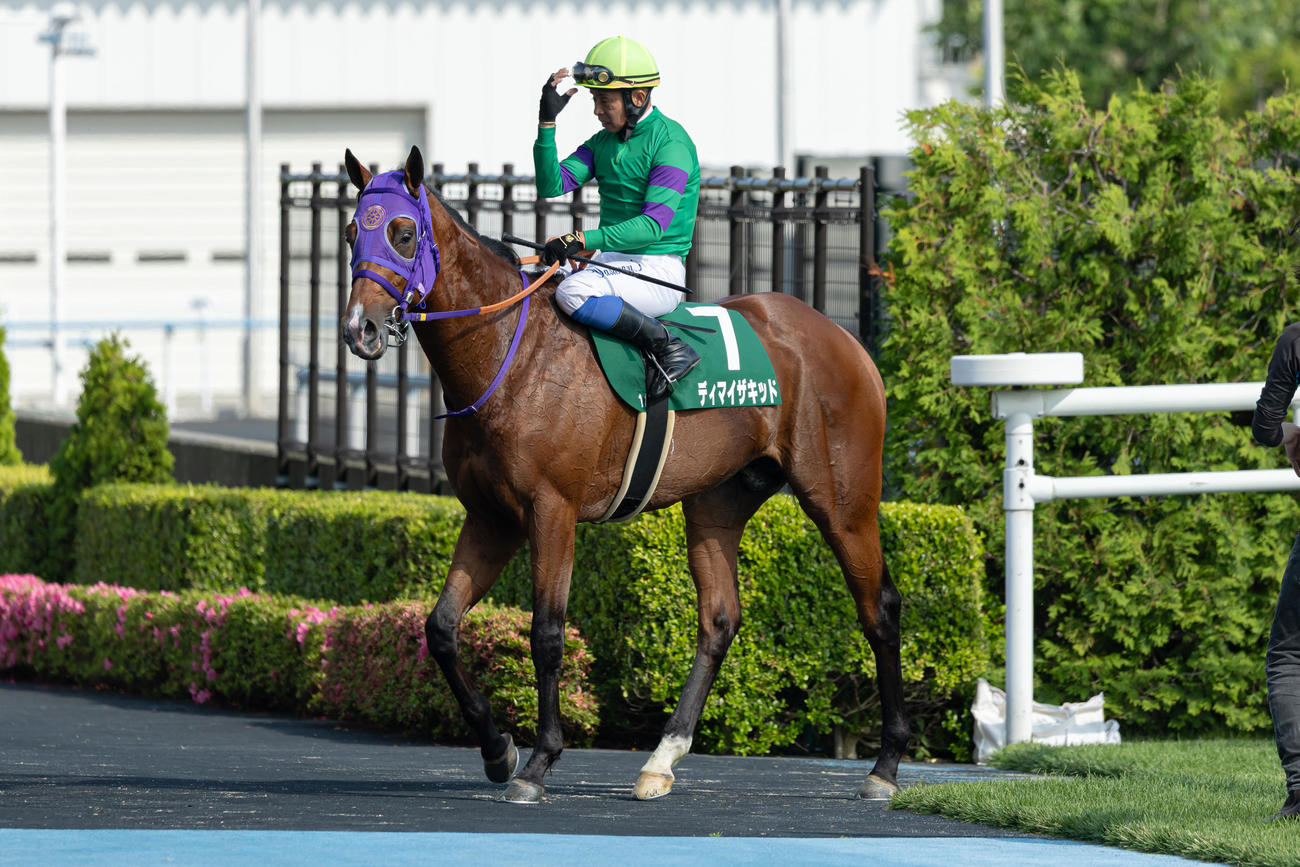 函館記念1番人気で4着に敗れたディマイザキッドと岩田康騎手（撮影・村野早祐）