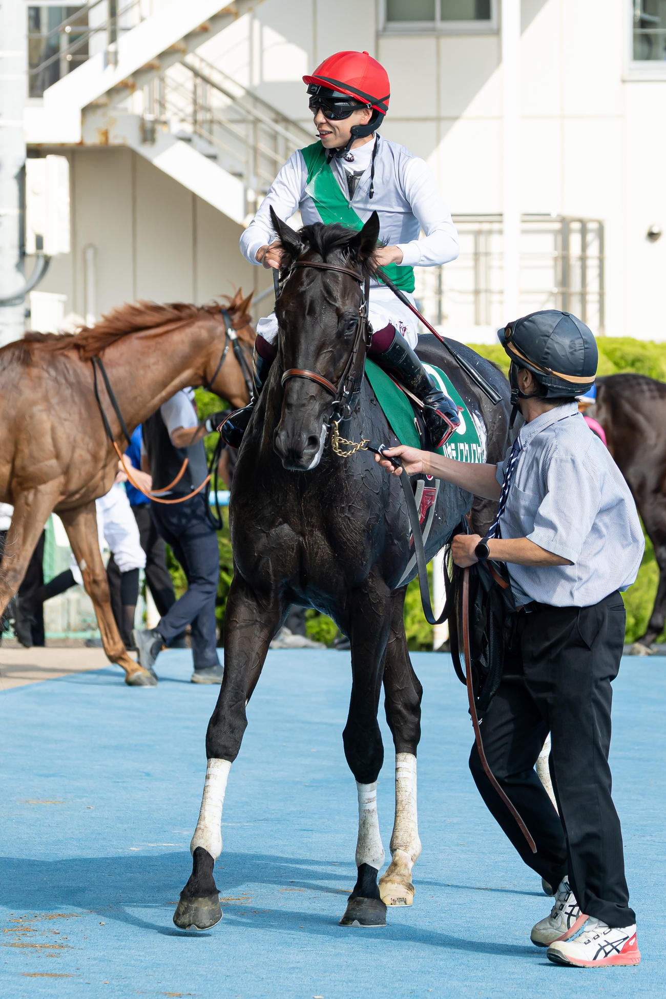 函館記念2着のハヤテノフクノスケと横山武騎手（撮影・村野早祐）