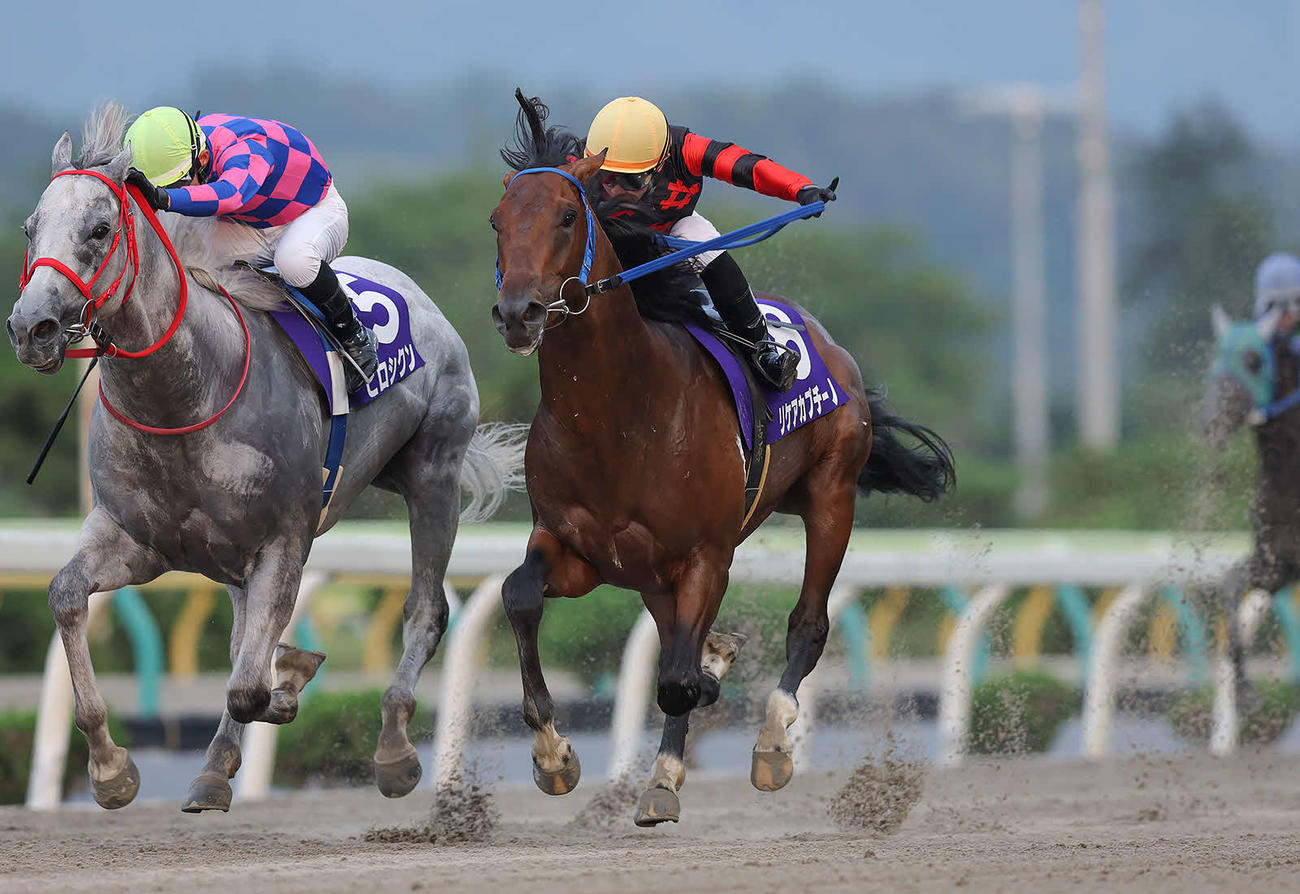 一條記念みちのく大賞典を制したリケアカプチーノ（右）（提供・岩手県競馬組合）