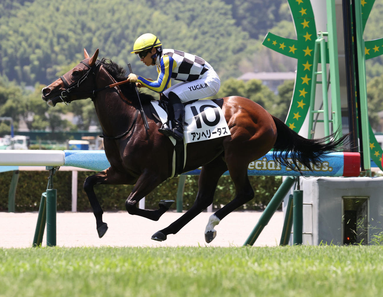 小倉5R、2歳新馬戦を制したアンヘリータスと川田騎手（撮影・梅根麻紀）