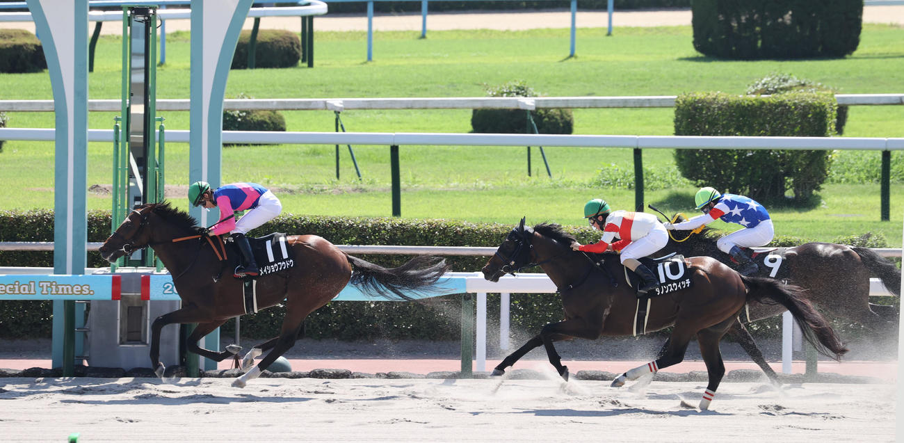 小倉10R、西部日刊スポーツ杯を制したメイショウフウドウ（左）と高杉騎手（撮影・梅根麻紀）