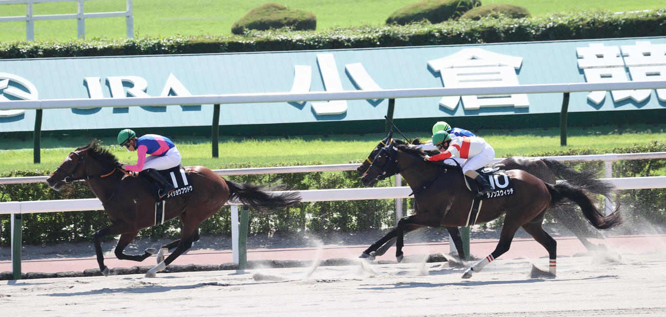 小倉10R、西部日刊スポーツ杯を制したメイショウフウドウと高杉騎手（撮影・梅根麻紀）