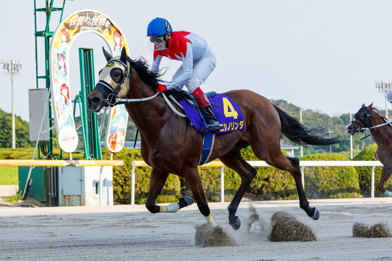 佐賀ユースCを制したニシノリンダ（提供・佐賀県競馬組合）