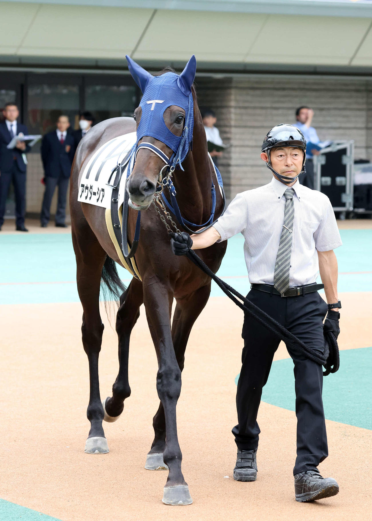 6月8日東京5Rの2歳新馬戦で2着に敗れたアウダーシア