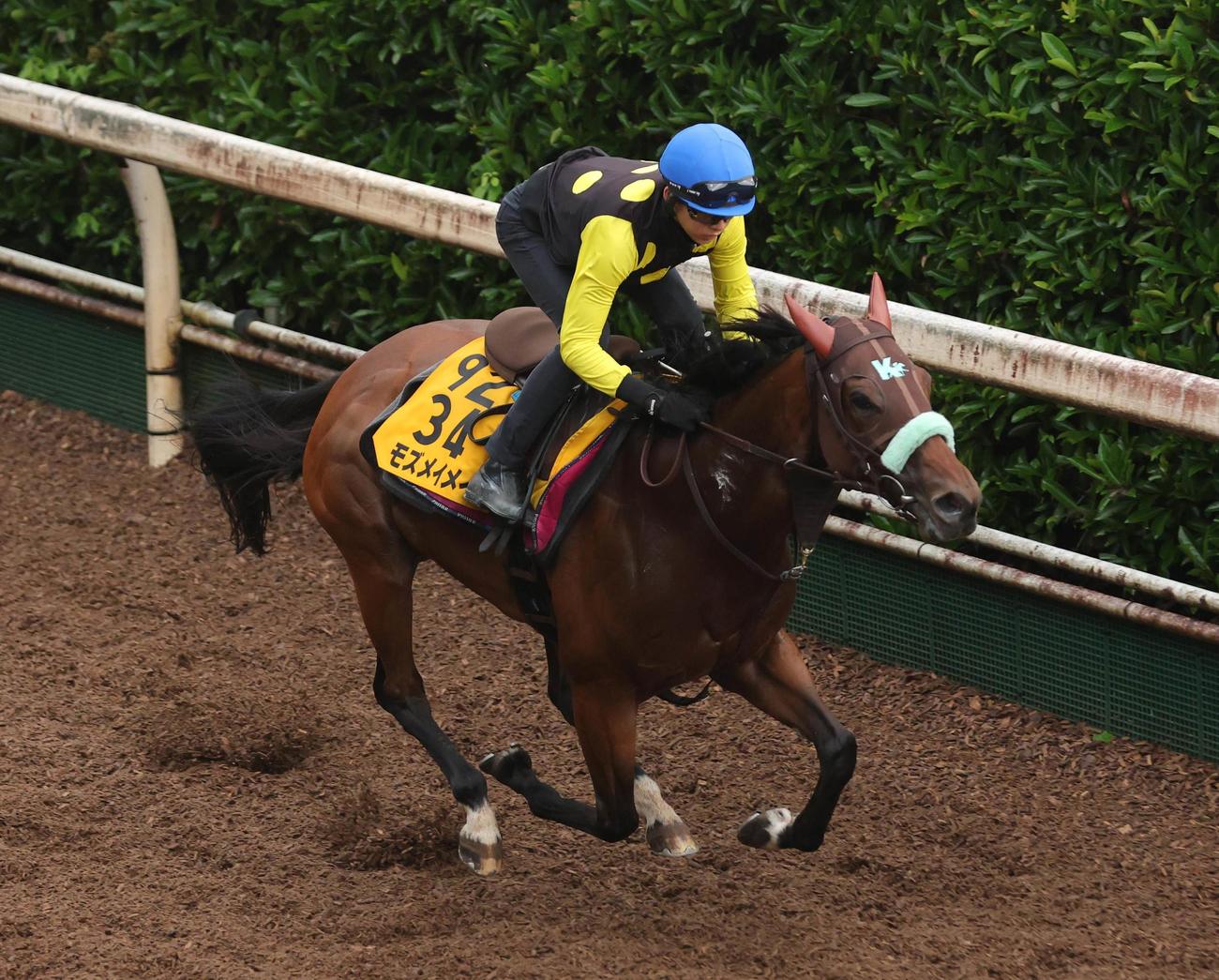 6月25日、坂路コースを単走で追い切るモズメイメイ