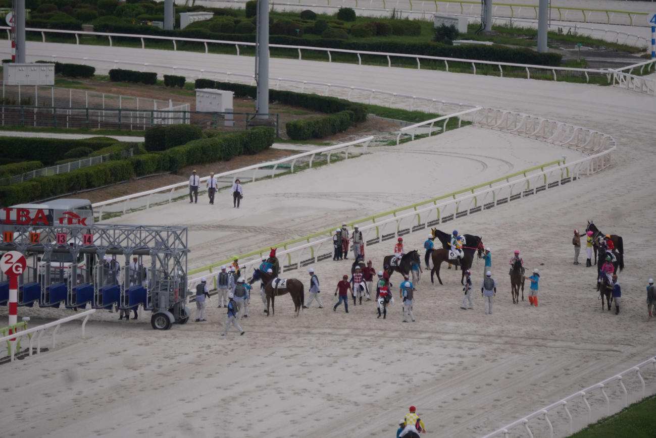 発走後にゲート内で転倒した馬がいたためゲートを引き込めず不成立となった1日の大井6Rのレース後の様子
