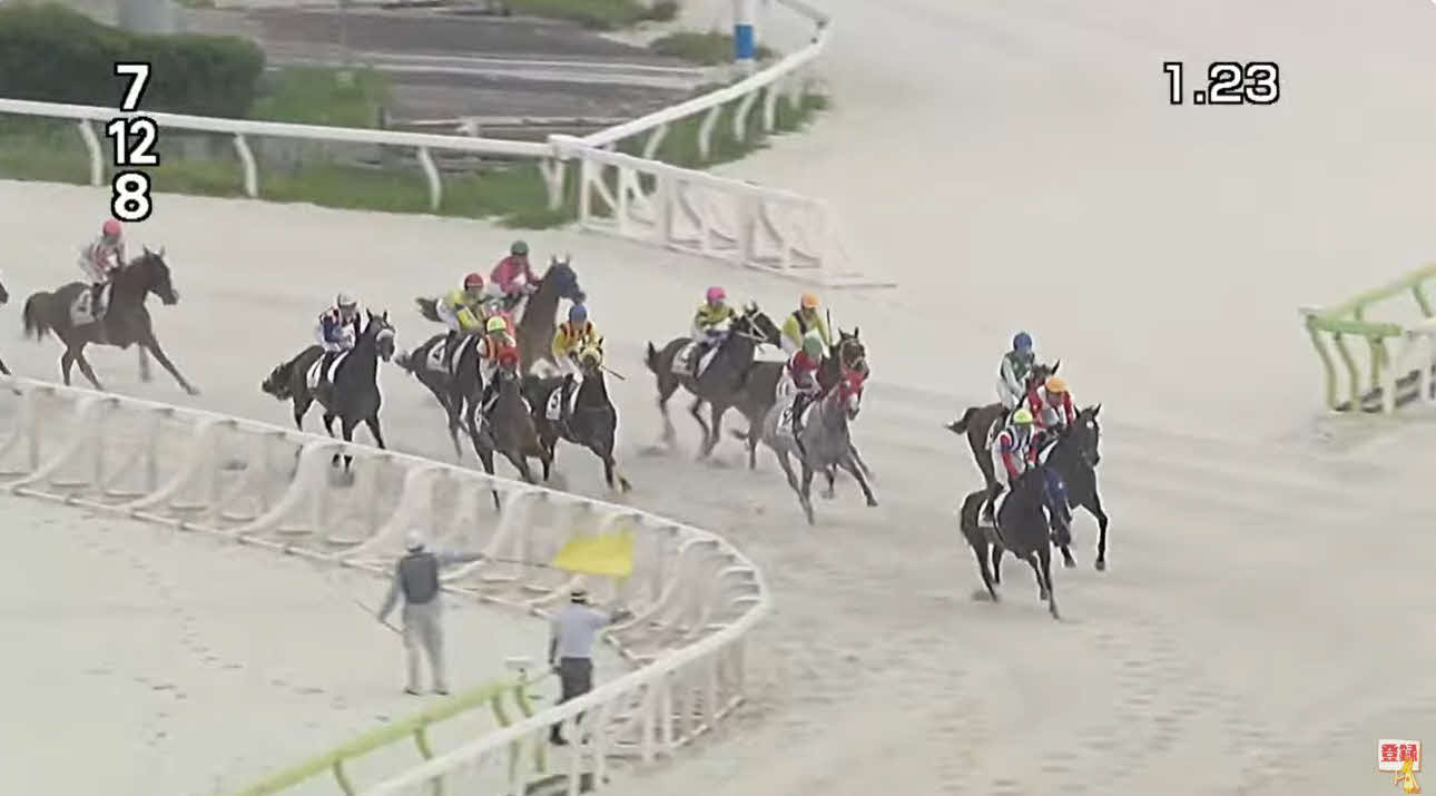 大井6Rは最後の直線で懸命に制止する旗が振られた（東京シティ競馬公式ユーチューブチャンネルより）