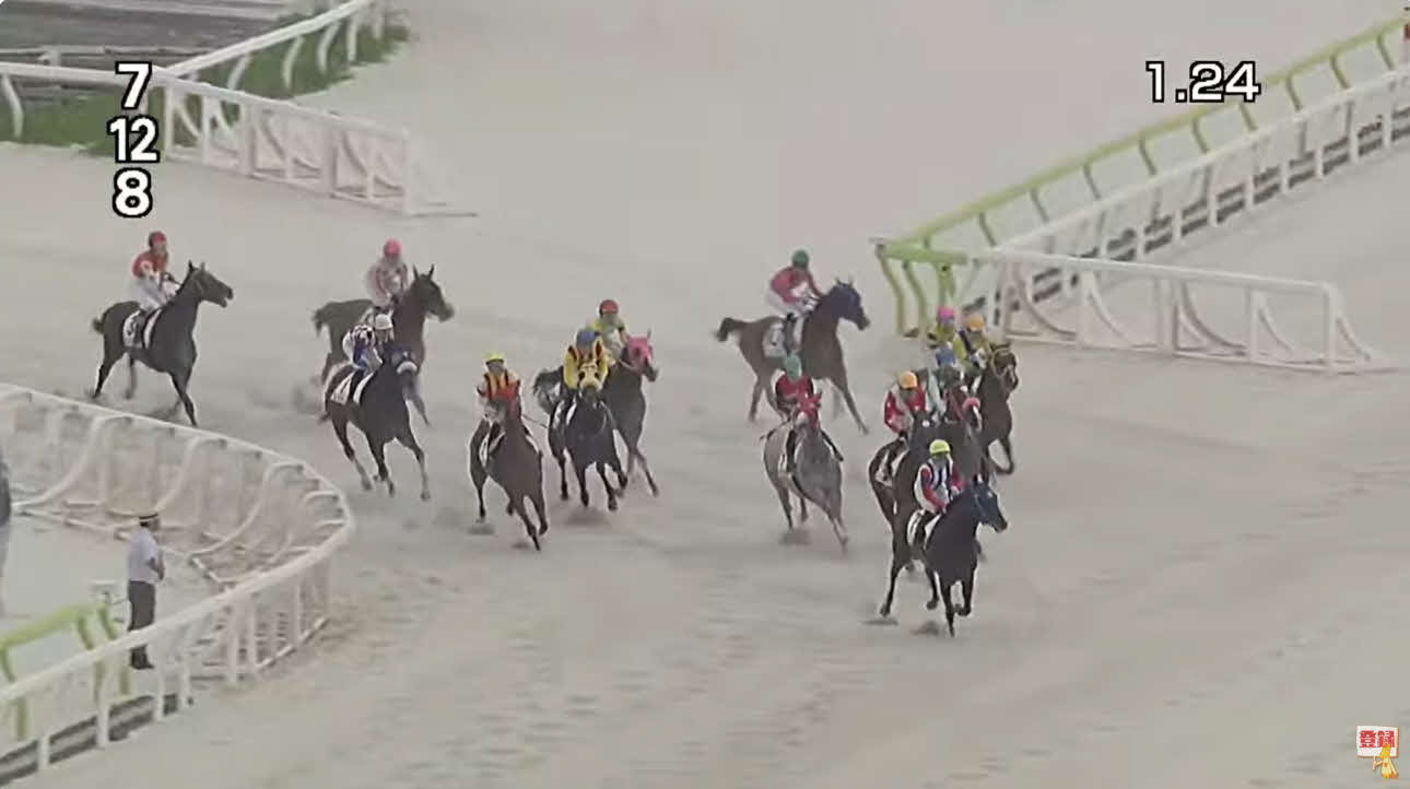 大井6Rは最後の直線で各馬が競走を中止した（東京シティ競馬公式ユーチューブチャンネルより）