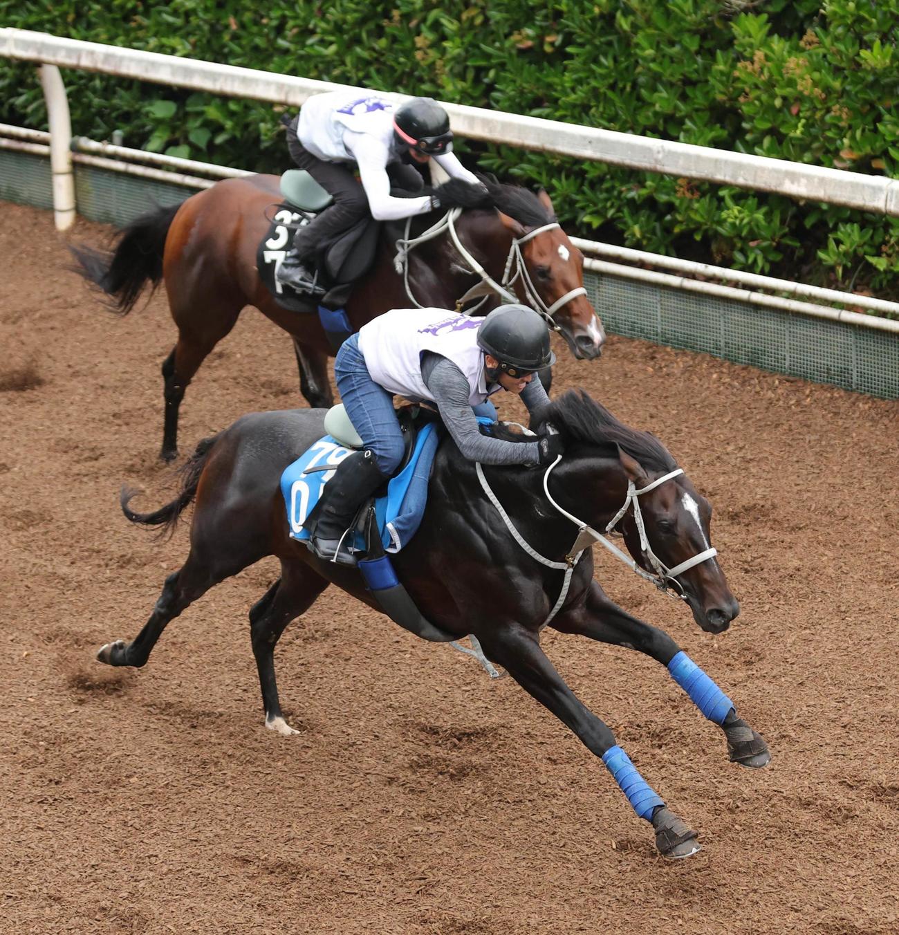 6月25日、2頭併せで追い切るメイショウソラフネ（手前）