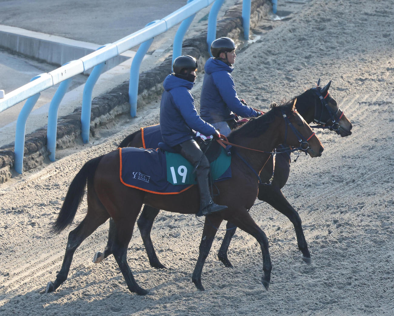 キセキ産駒、今週JRAデビュー サイン、菊花賞馬の父と同じ芝1800mで