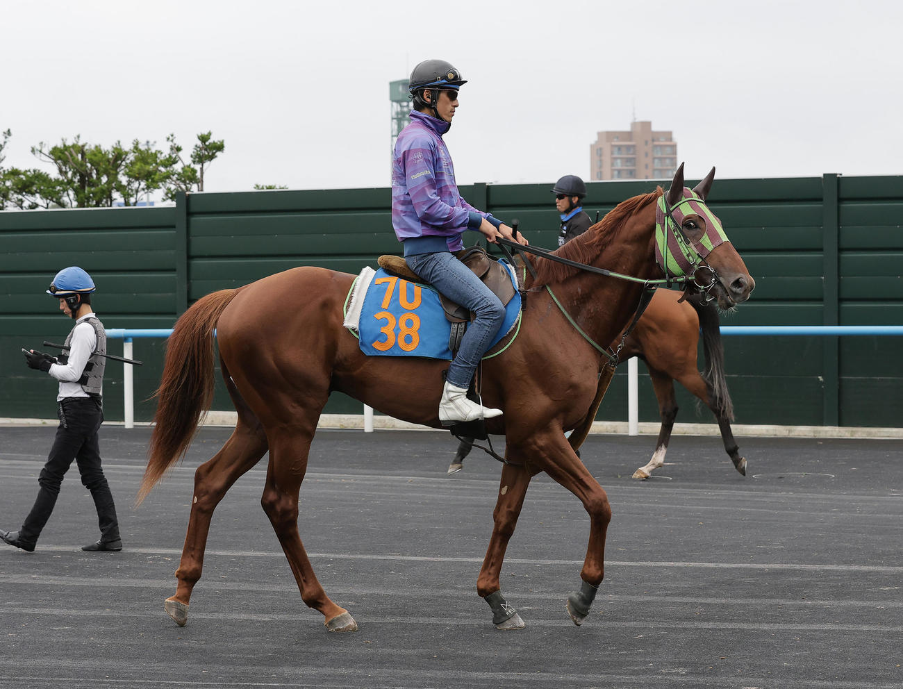 函館競馬場で調整するショウナンライシン
