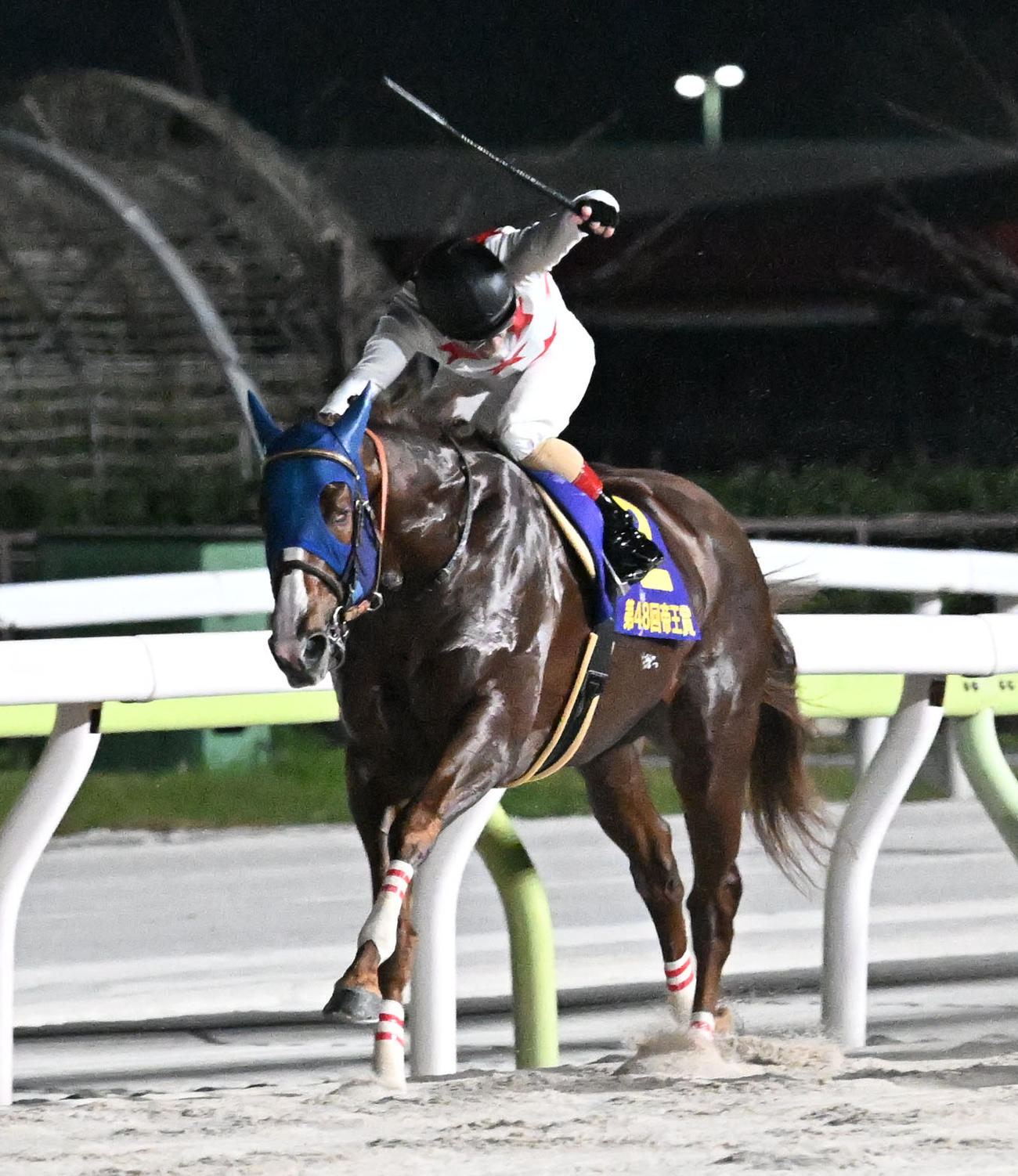 帝王賞で優勝したミッキーファイトとルメール騎手（撮影・千葉一成）