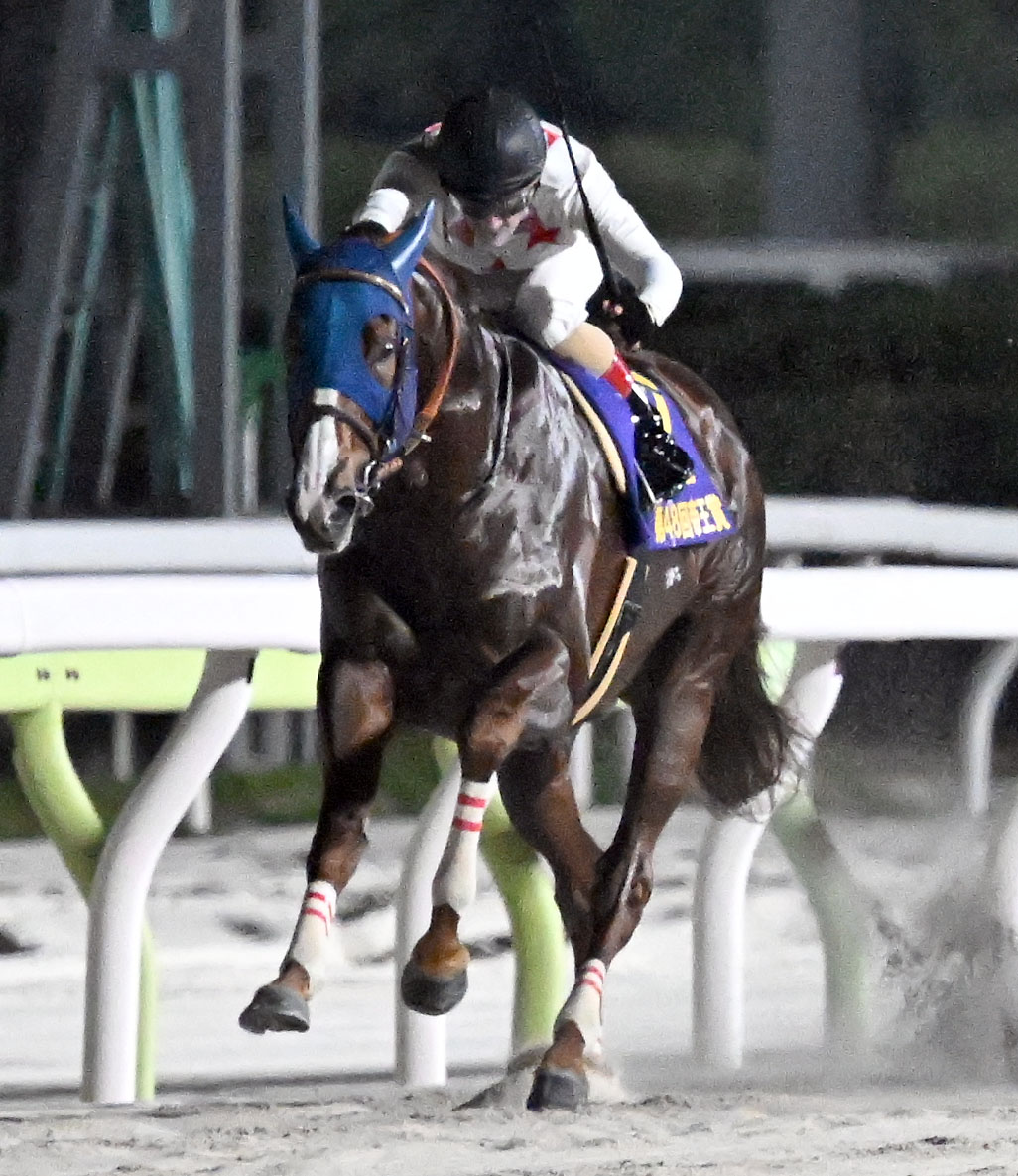 帝王賞で優勝したミッキーファイトとルメール騎手（撮影・千葉一成）