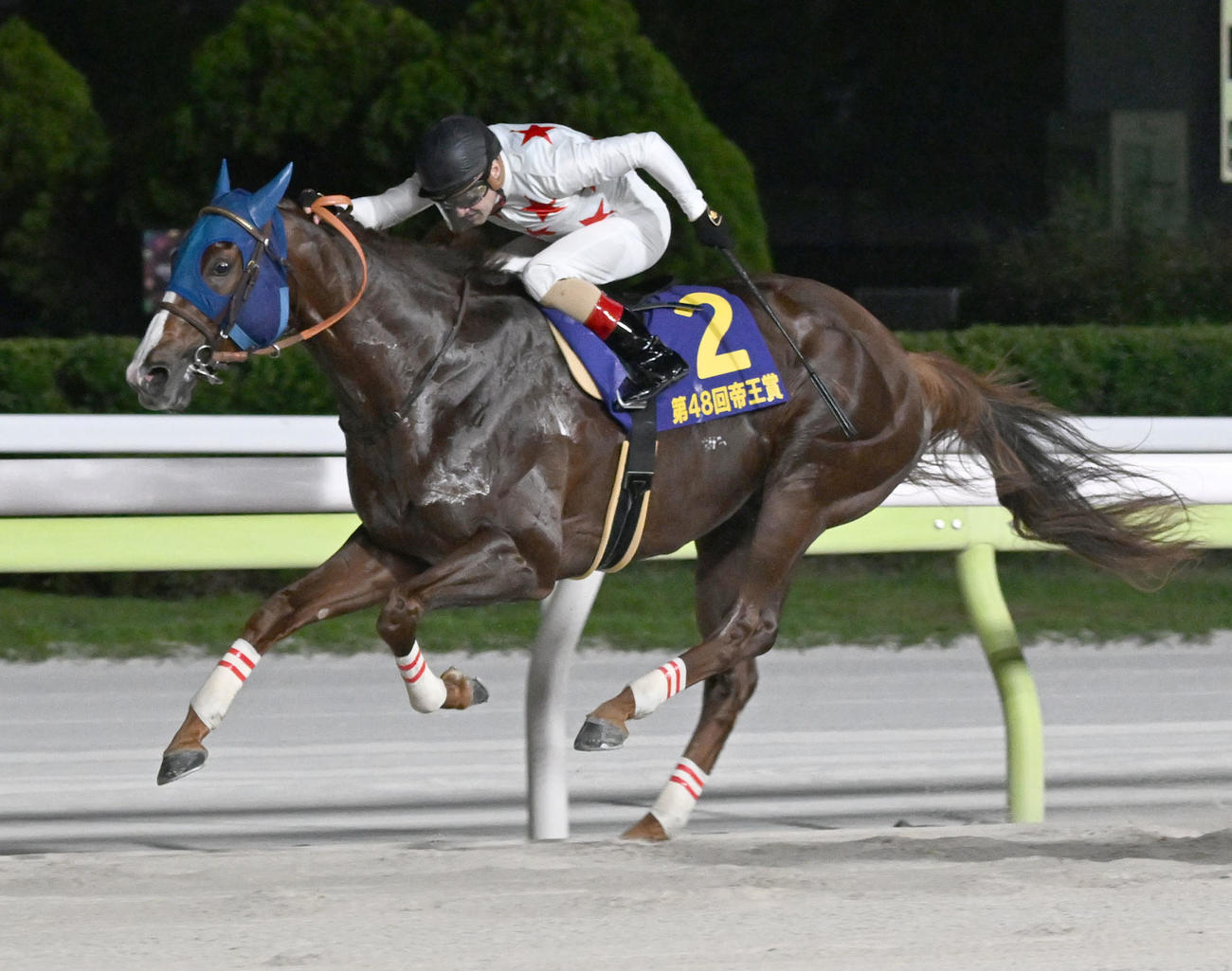 帝王賞で優勝したミッキーファイトとルメール騎手（撮影・千葉一成）