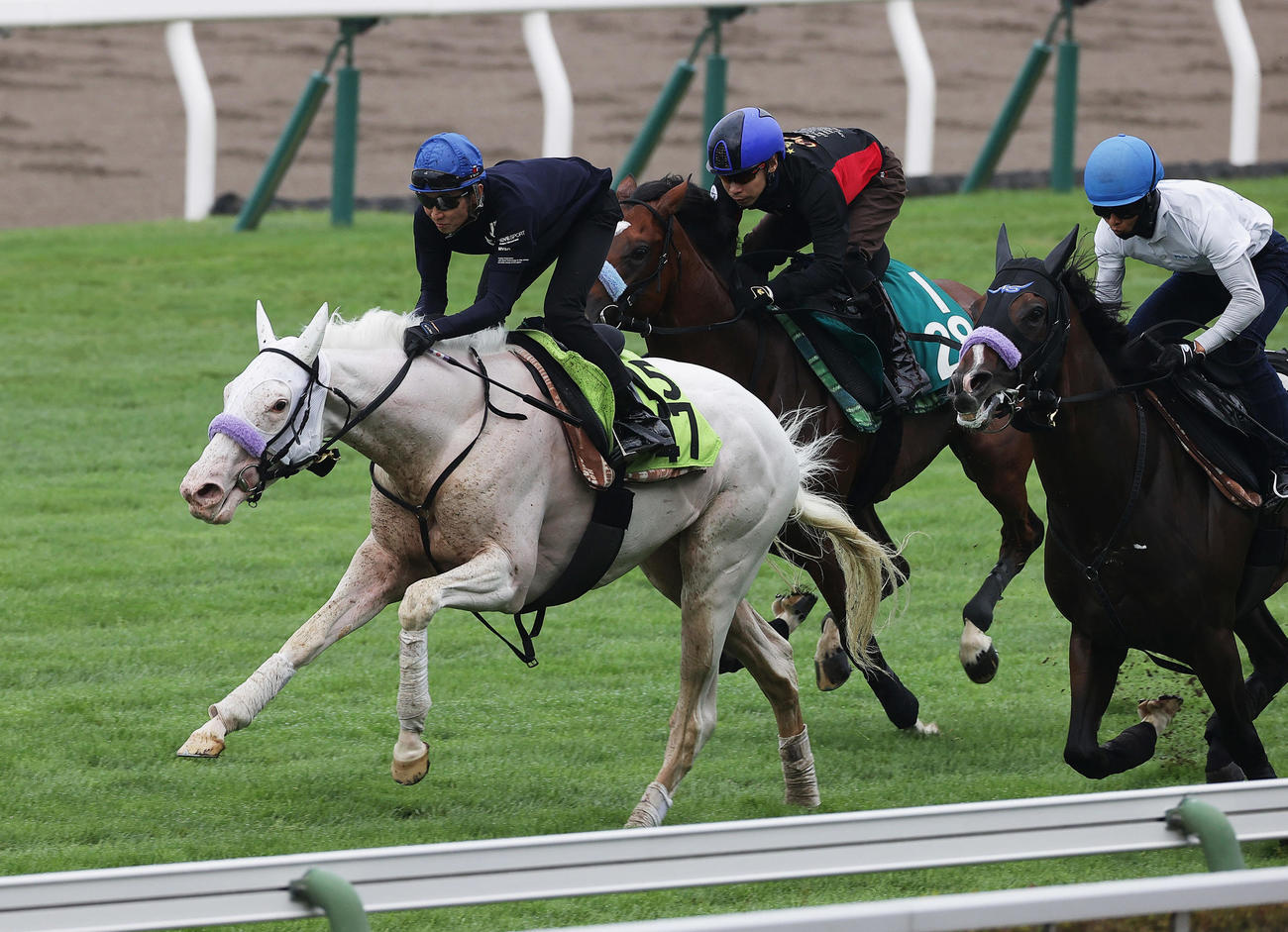 武豊騎手を背に、函館芝コースで併せ馬で追い切られるマルガ（左端）