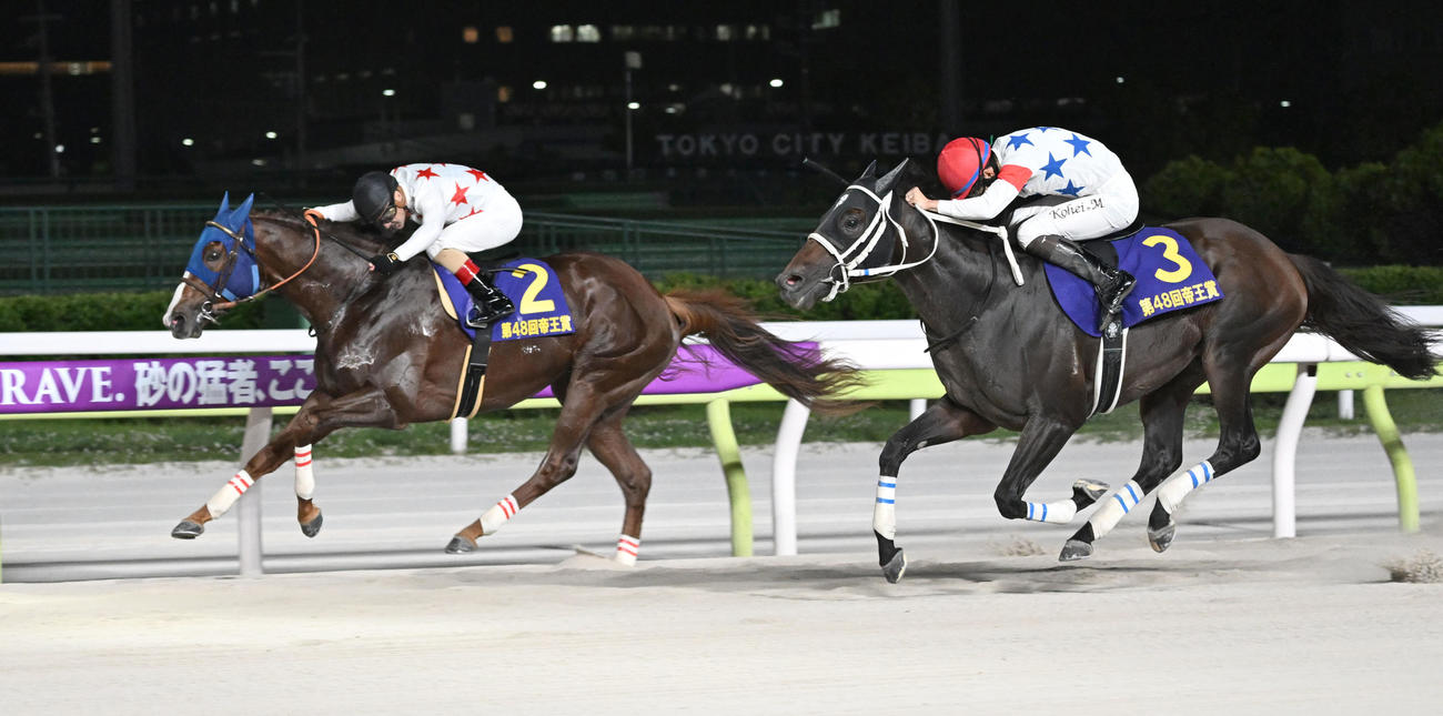 帝王賞で優勝したミッキーファイトとルメール騎手。右は2着のアウトレンジ（撮影・千葉一成）