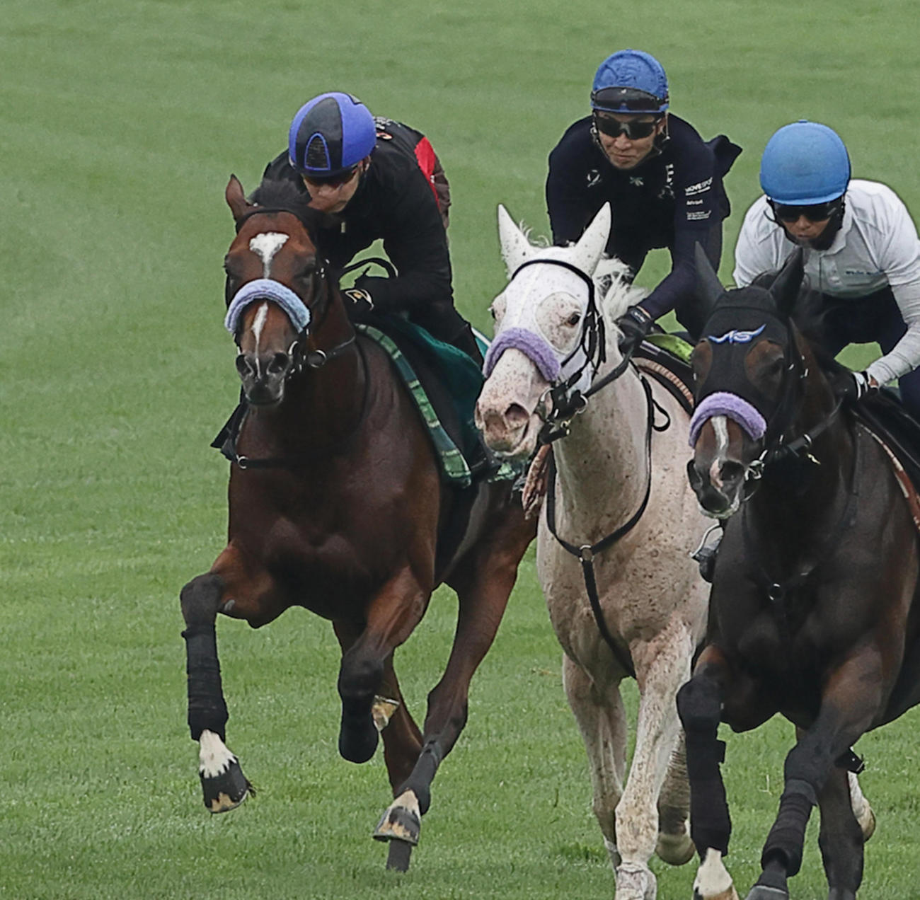 池添謙一騎手を背に、函館芝コースで併せ馬で追い切られるショウナンガルフ（左端）