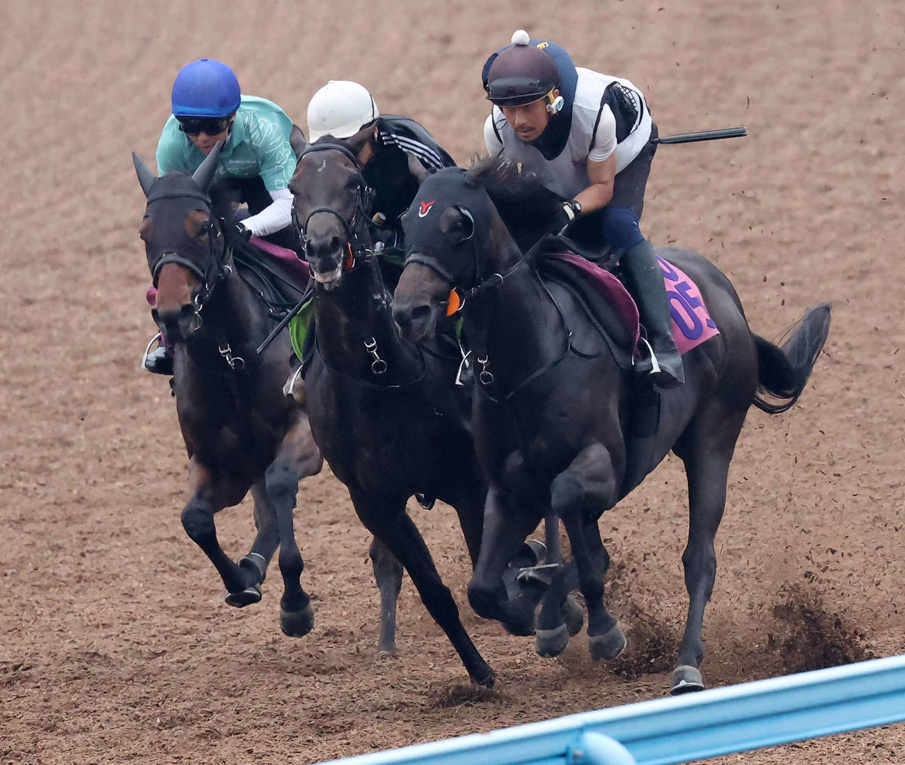 ラングドシャ（中央）はデビュー戦に向けて美浦ウッドを3頭併せで追い切られた（撮影・丹羽敏通）