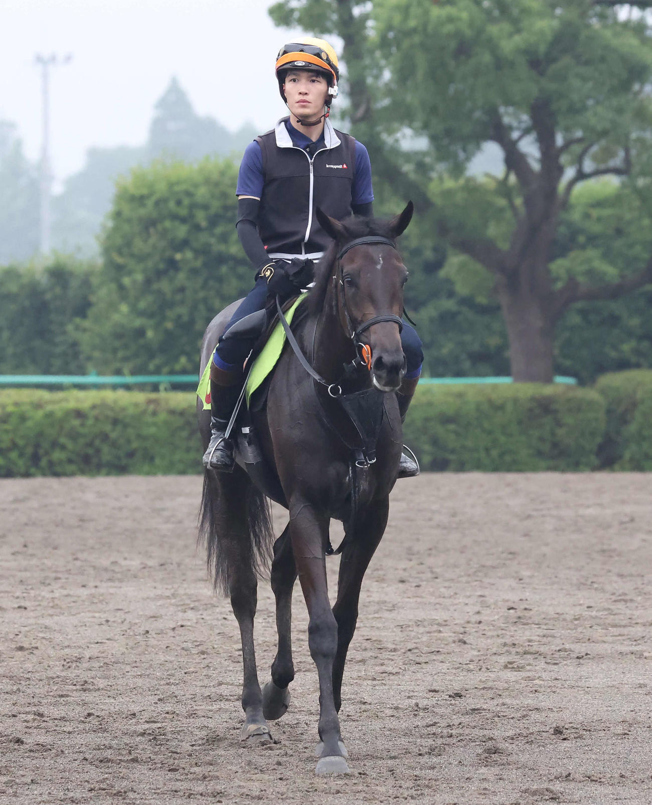 追い切りを終えて馬場を出る上原佑厩舎のラングドシャ（撮影・丹羽敏通）