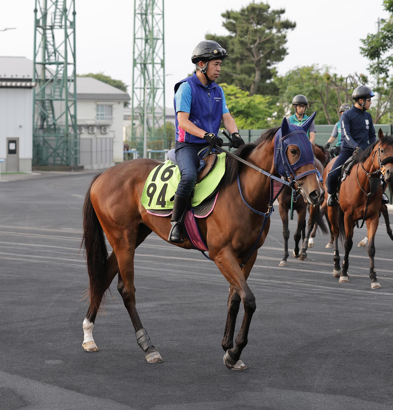 函館競馬場で調整するアッチョンブリケ