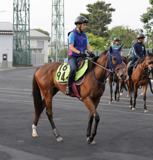 函館便り】珍名馬アッチョンブリケが土曜函館デビュー、いつかブラック