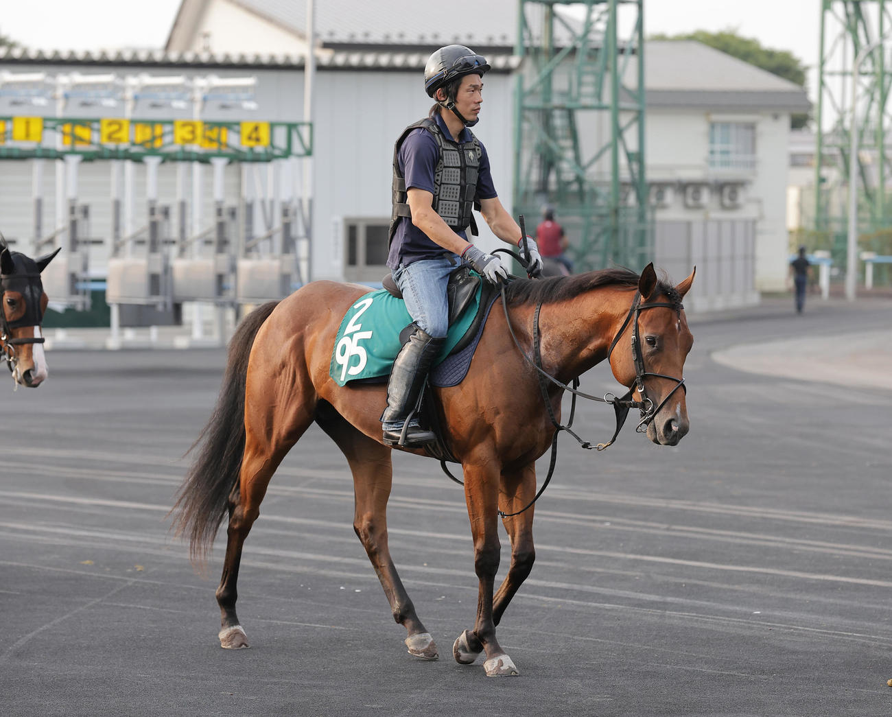 函館競馬場で調整するエムフォー