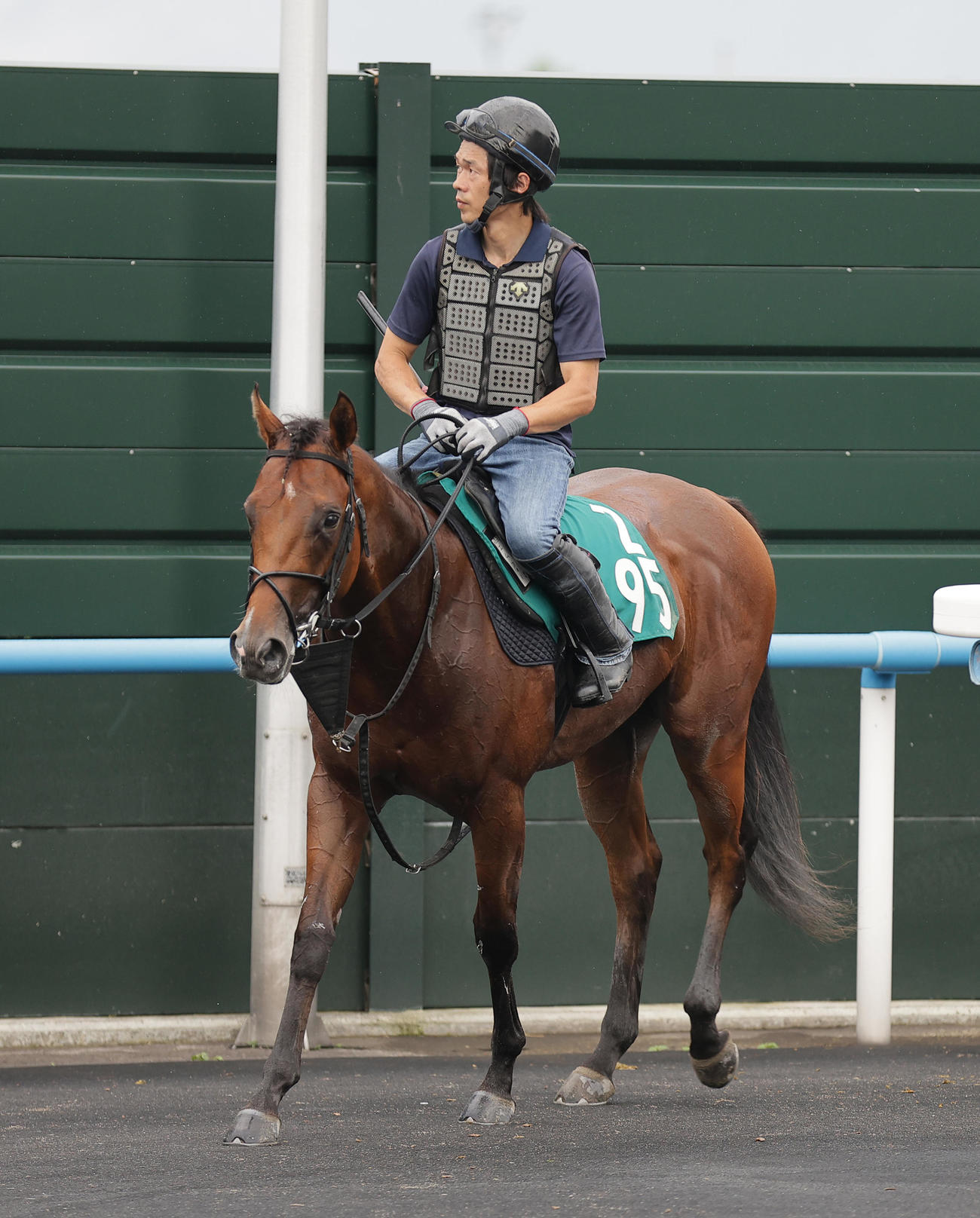 函館競馬場で調整するエムフォー