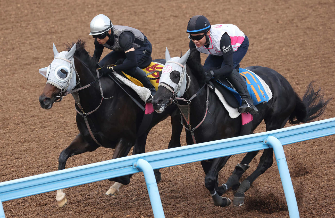 2日、アピーリングルック（左）は大野騎手を背に美浦ウッドでヤマニンガラッシアと併せて追い切られた