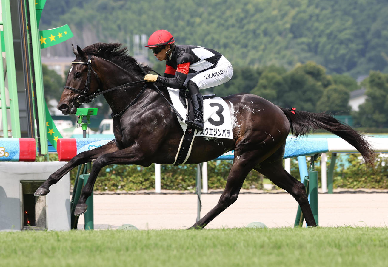 小倉1R、2歳未勝利を勝ち上がったアスクエジンバラ（撮影・白石智彦）