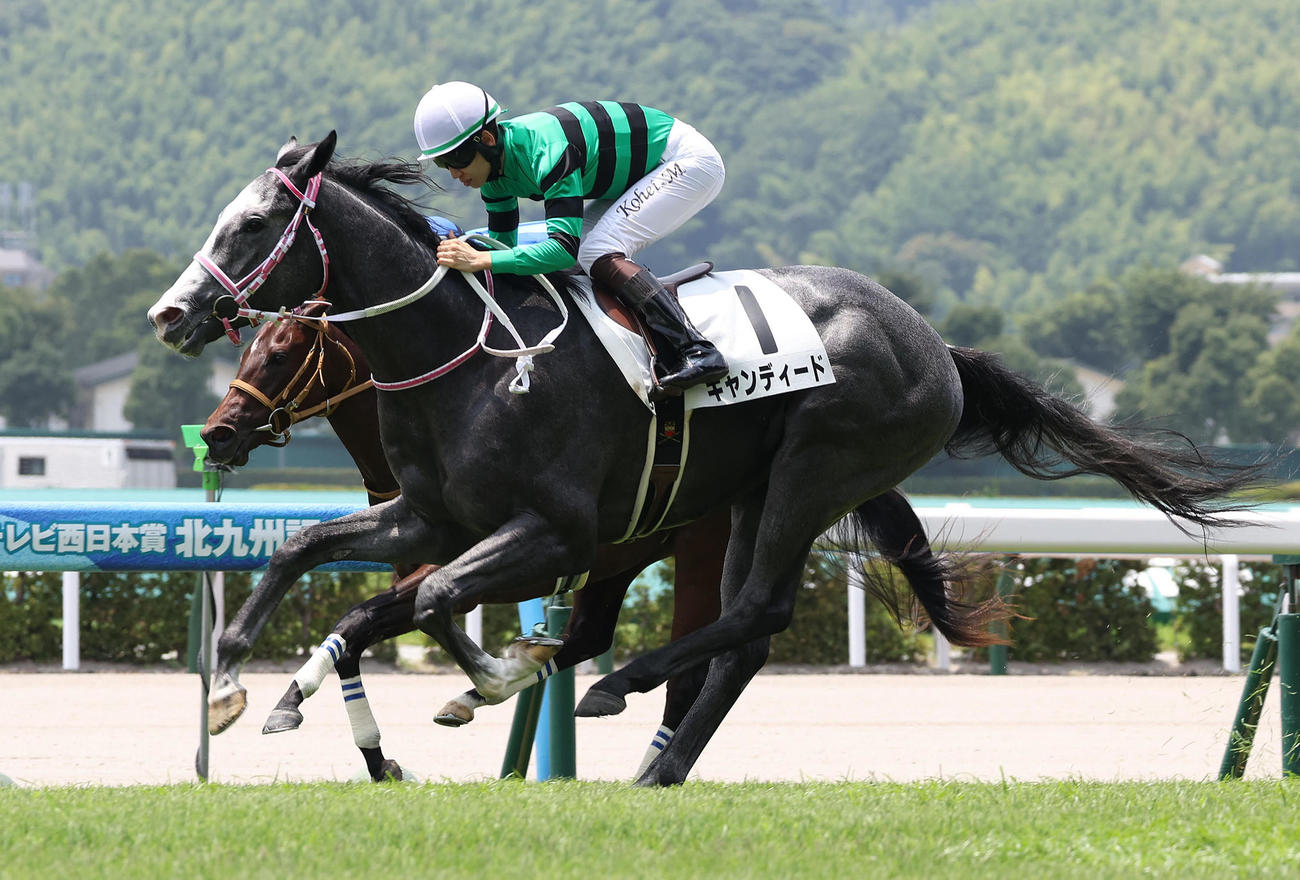 小倉5R、ゴール前でララクレアドルーン（奥）を差し切って新馬戦を制したキャンディード