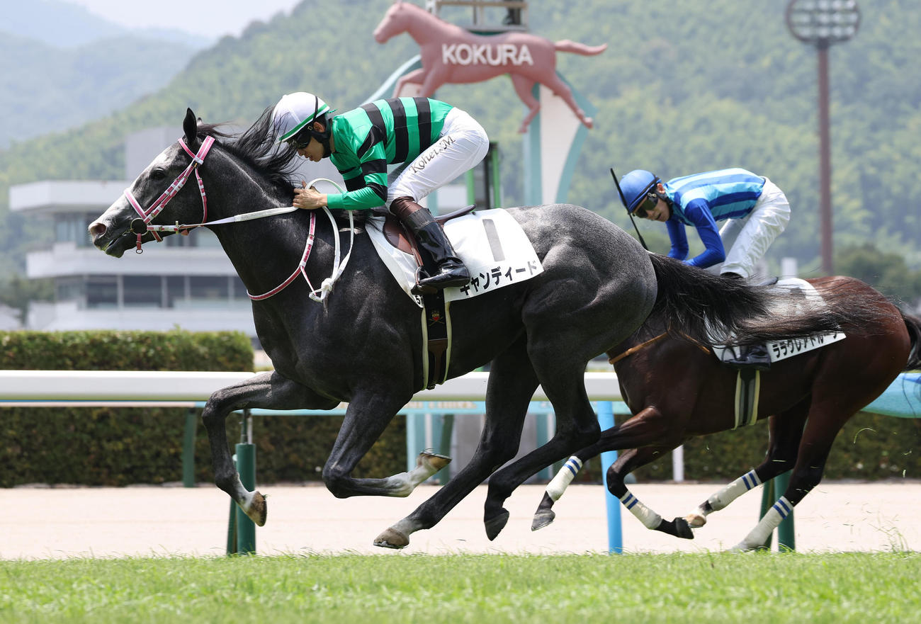 小倉5R、ゴール前でララクレアドルーン（右）を差し切って新馬戦を制したキャンディード（撮影・白石智彦）
