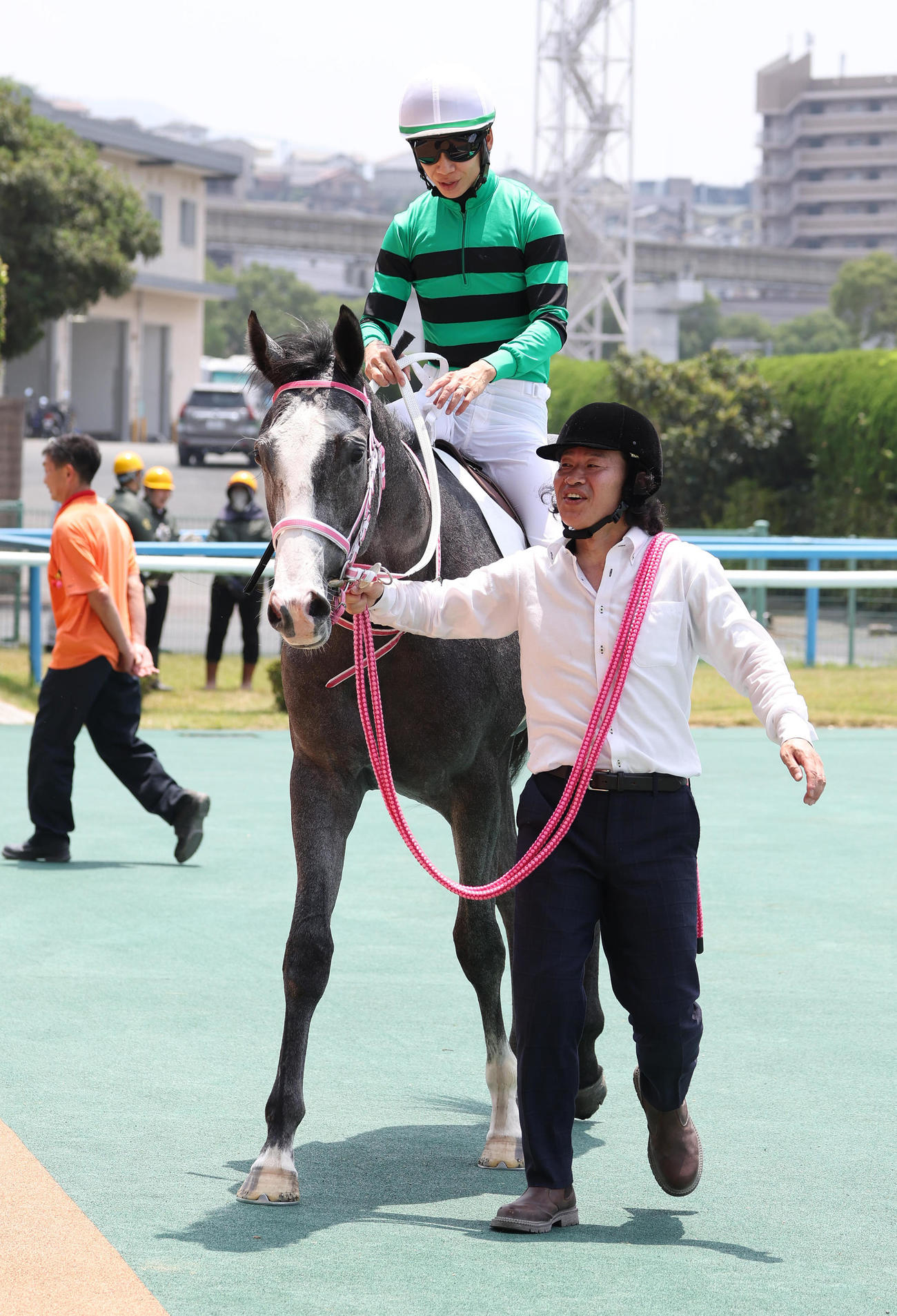 小倉5R、新馬戦を制したキャンディード（撮影・白石智彦）