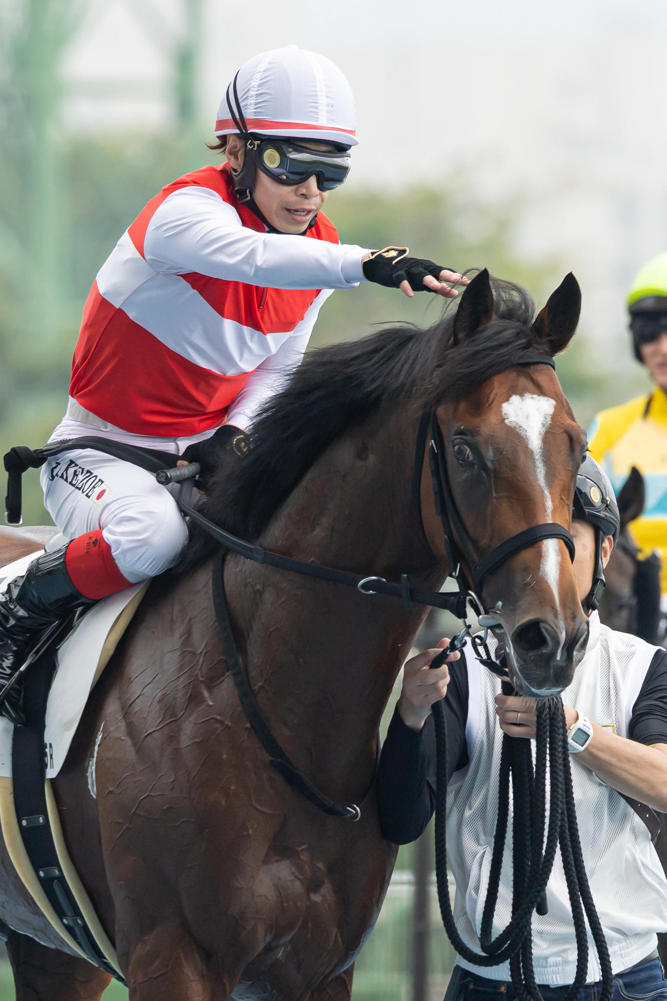 函館5R、デビュー戦を制したショウナンガルフと池添騎手（撮影・村野早祐）