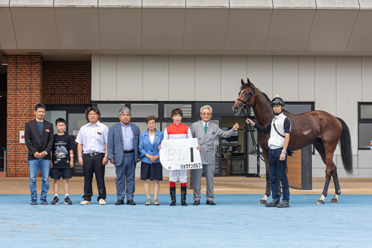 函館5R、デビュー戦を制したショウナンガルフ（撮影・村野早祐）