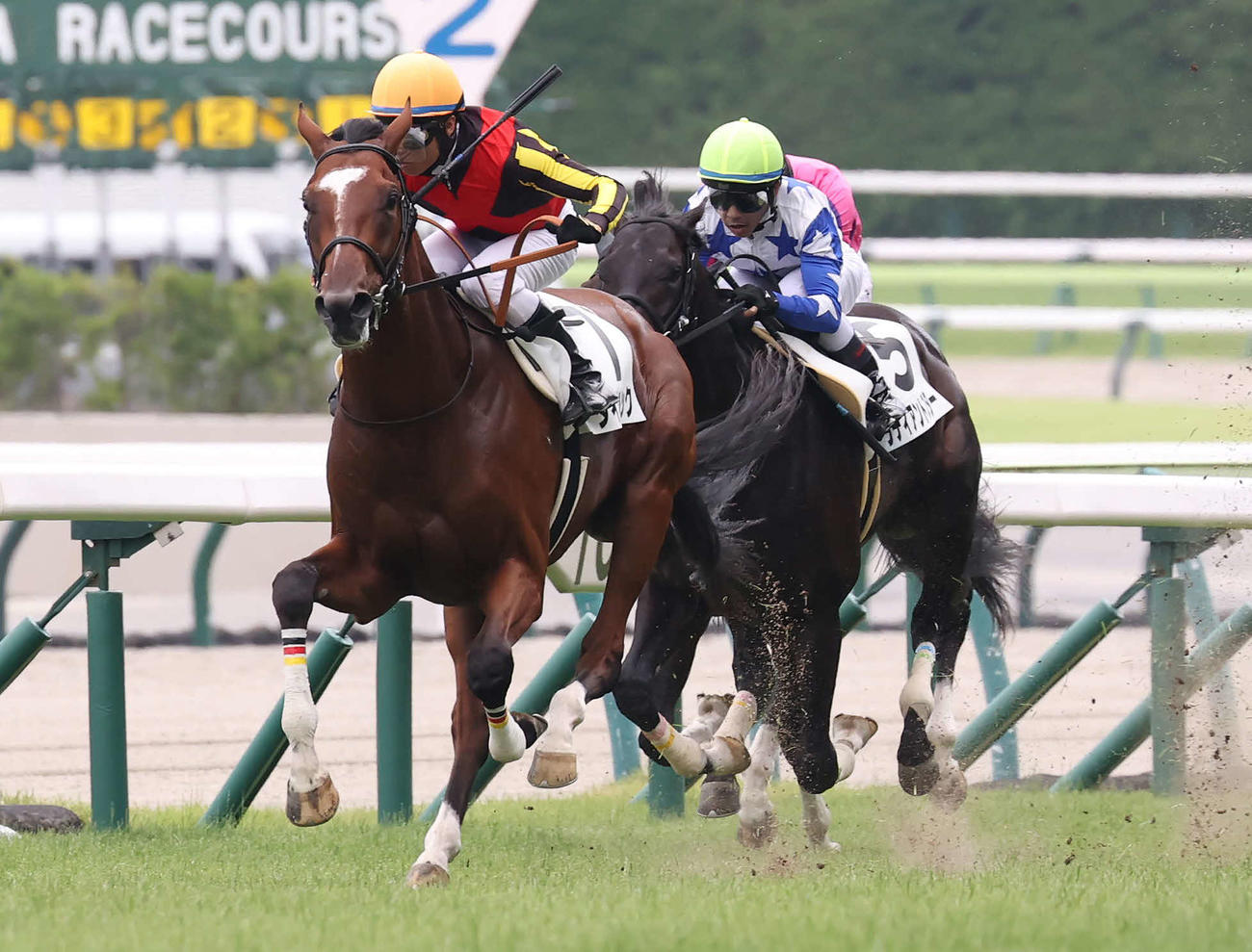 福島5R、2歳新馬戦を制したタイダルロックと大野騎手（撮影・丹羽敏通）