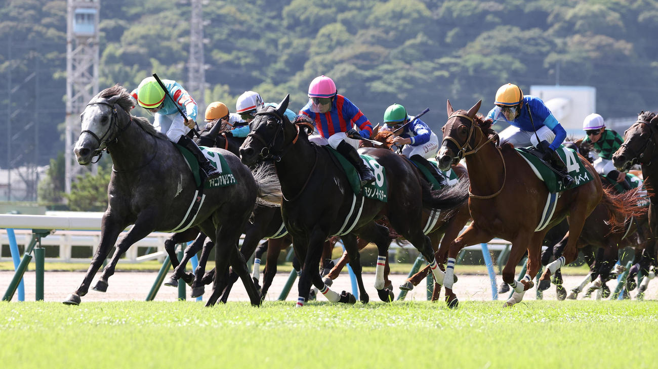 直線抜け出して北九州記念を制したヤマニンアルリフラ（左）（撮影・白石智彦）
