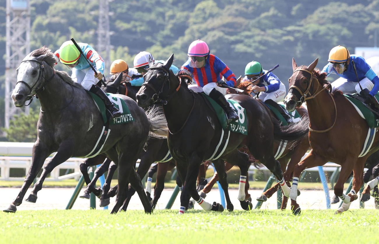 北九州記念2着に敗れたヨシノイースターと内田騎手（中央）。左は勝ったヤマニンアルリフラ