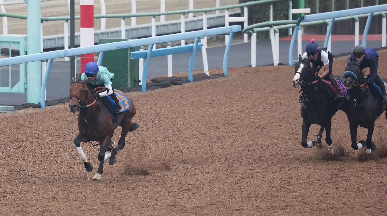 戸崎騎手を背に僚馬2頭を突き放したドゥラドーレス