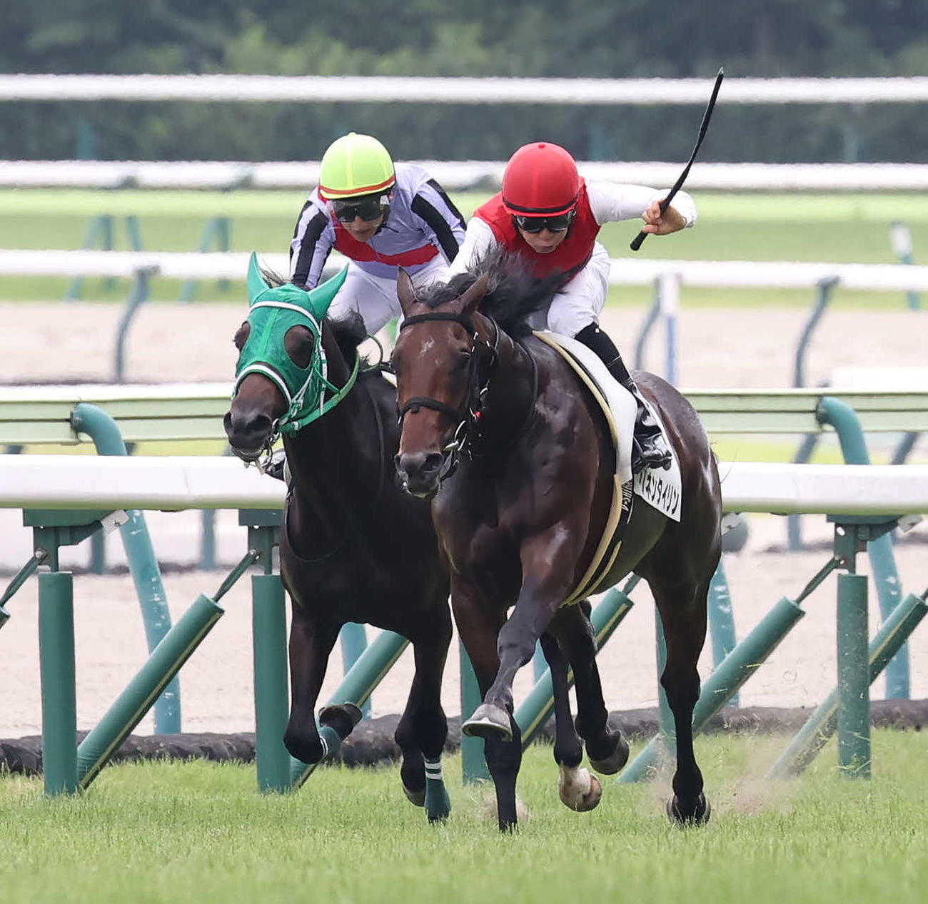 福島4R、2歳新馬戦を制したリネンタイリンと柴田大騎手（右）（撮影・丹羽敏通）