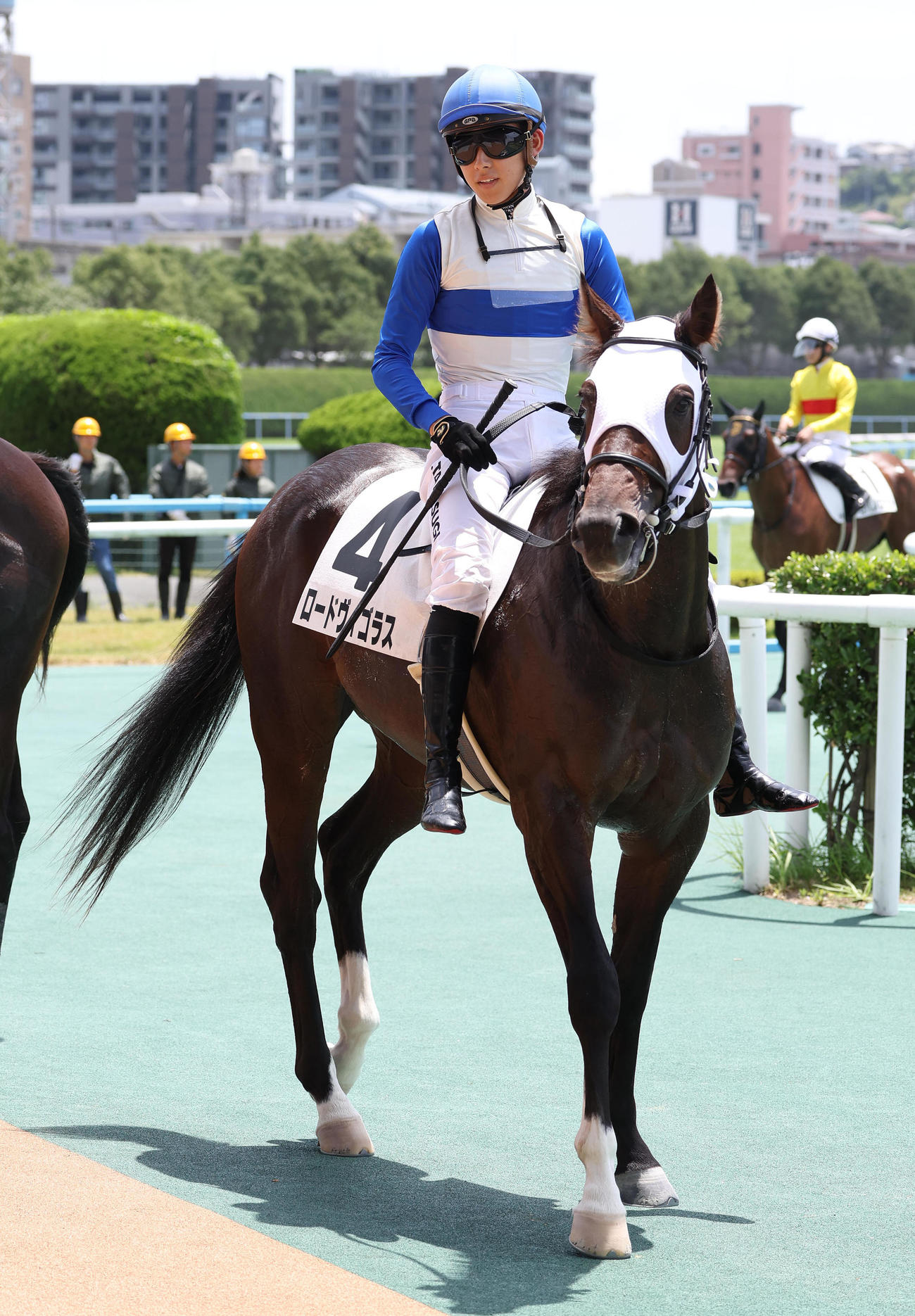 小倉6R、新馬戦を制したロードヴィゴラス（撮影・白石智彦）