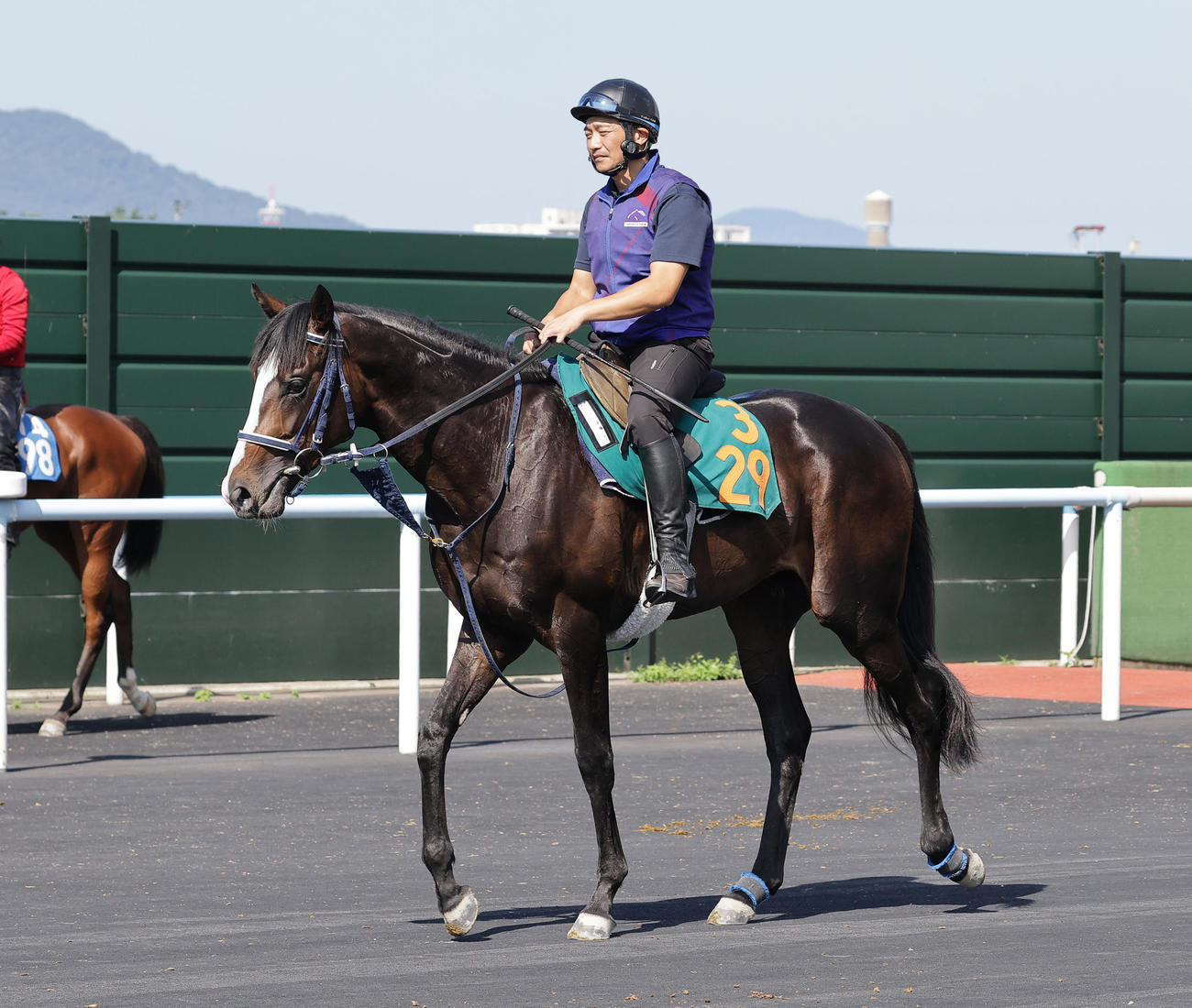函館競馬場で調整するハイヤーマーク