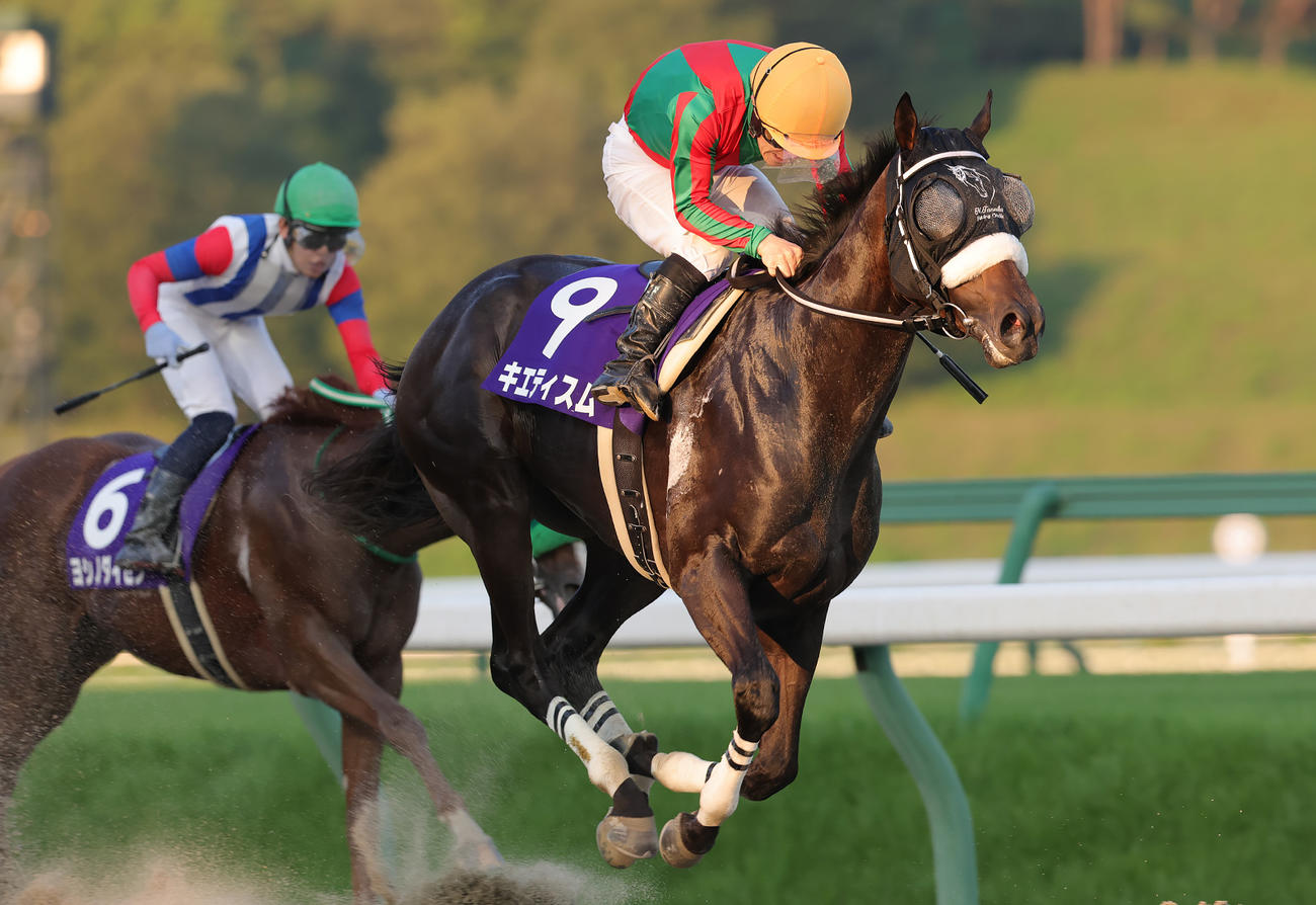 ハヤテスプリントを制したキエティスム（写真提供・岩手県競馬組合）