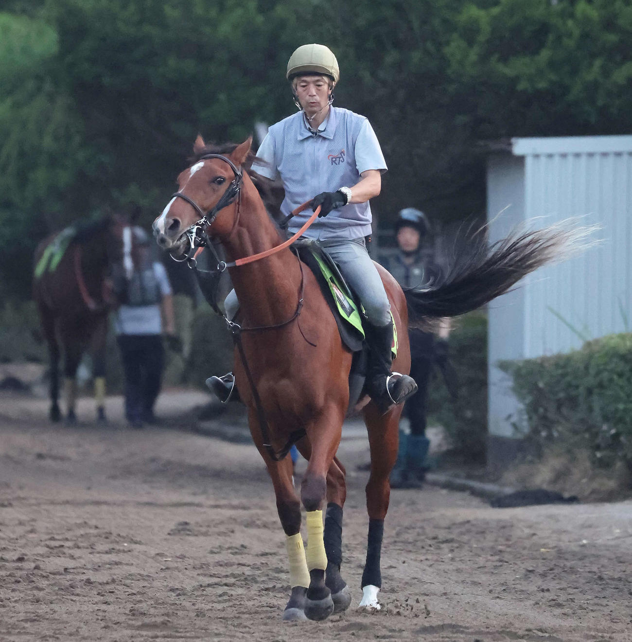 3日、乗り運動で調整するミスバレンシア