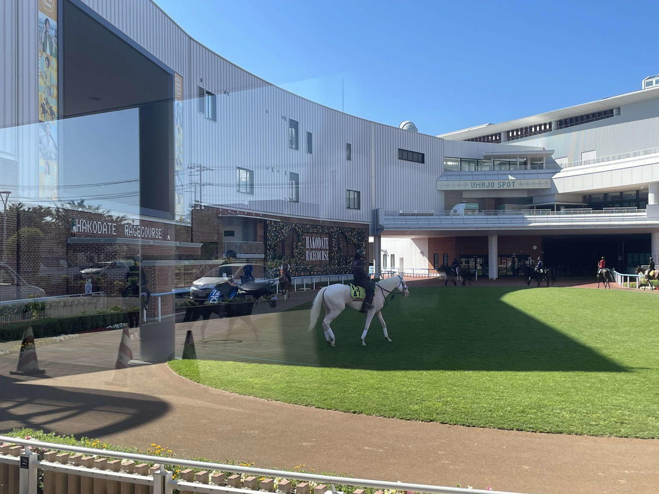パドックをスクーリングするマルガを、函館競馬場入場門外でガラス越しに記者が撮影