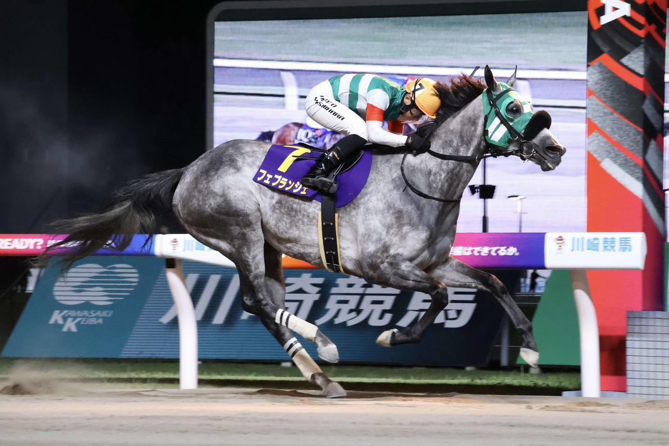 スパーキングレディーCを制したフェブランシェ（撮影・牛山基康）