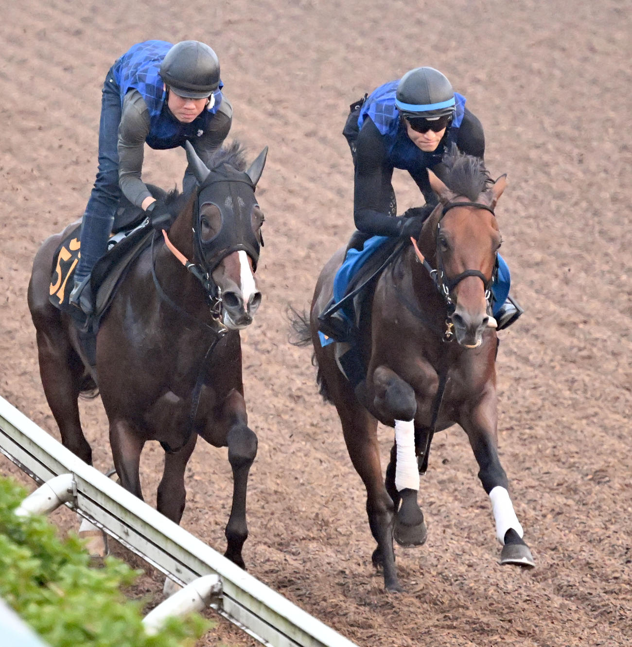 美浦坂路を2頭併せで追い切るドゥラドーレス（右）（撮影・千葉一成）